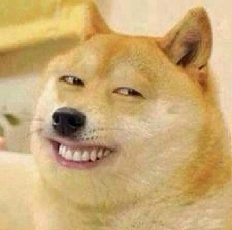 Meme Chó cười