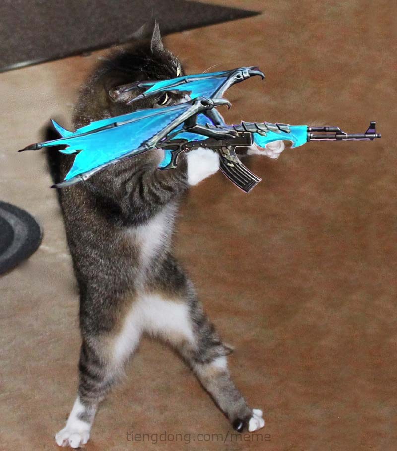 Meme con mèo cầm AK rồng xanh nhắm bắn