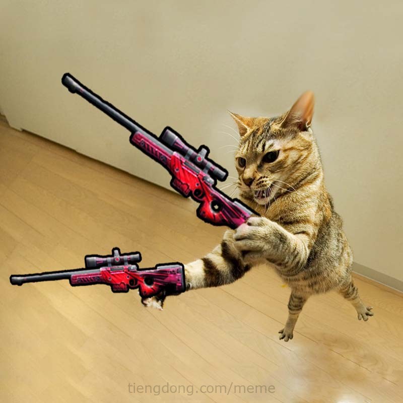 Bild einer Katze, die eine Waffe hält ff