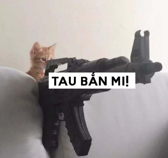 Top ảnh chế Mèo cầm súng FF siêu Ngầu siêu Bá Đạo
