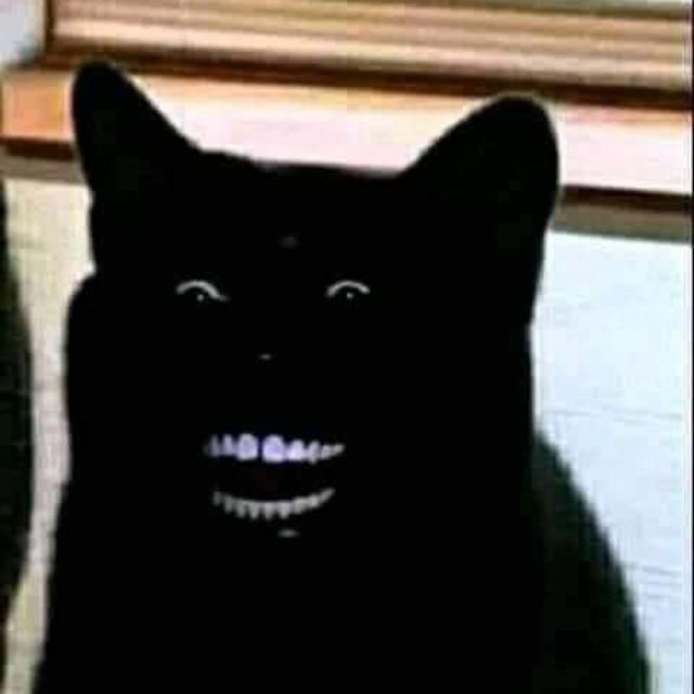 Meme Mèo đen nhe răng Cười