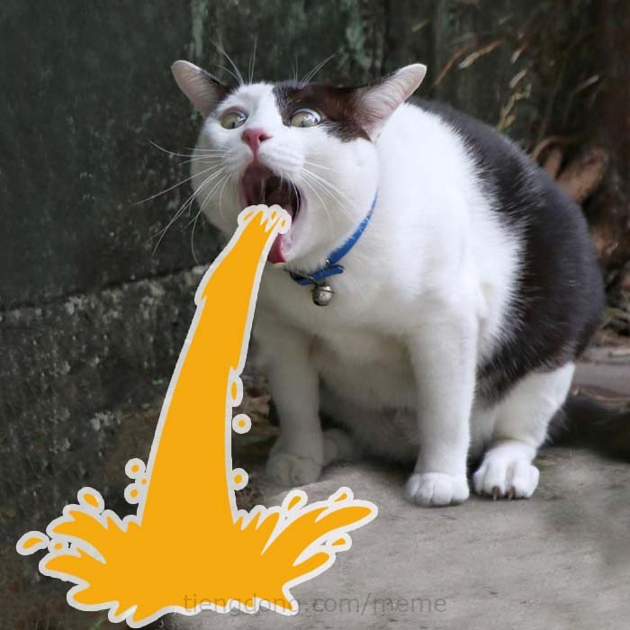 Meme con Mèo nôn ọe là mẫu meme được yêu thích nhất hiện nay. Với cái nhìn hài hước và độc đáo của mình, chắc chắn sẽ làm bạn cười nghiêng ngả. Ghé ngay MemeVN để xem và tìm hiểu thêm nhé!