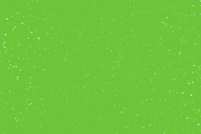 Video Snow Flakes Falling green screen effects